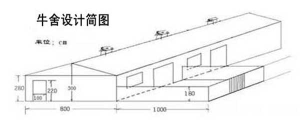 养牛场设计图及建设方案