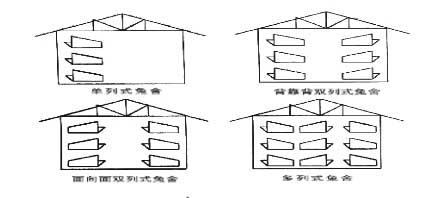 规模化獭兔养殖场设计方案