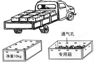 蝎子运输工具有哪些？蝎子运输注意事项