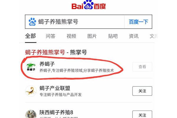 蝎子养殖熊掌号(百家号)