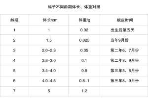 蝎子的生长发育包括哪些过程？