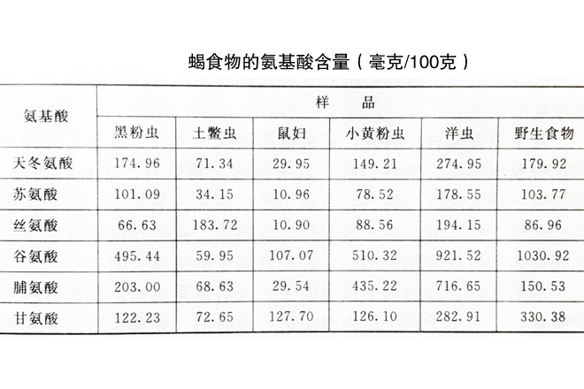 表2 蝎食物的氨基酸含量