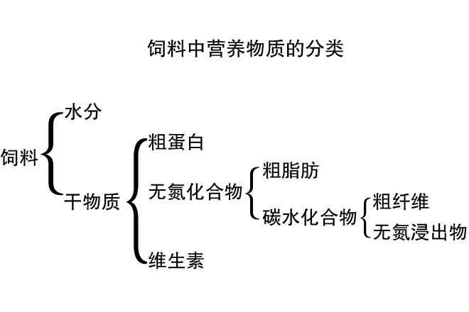 蝎子所需的营养物质有哪些-