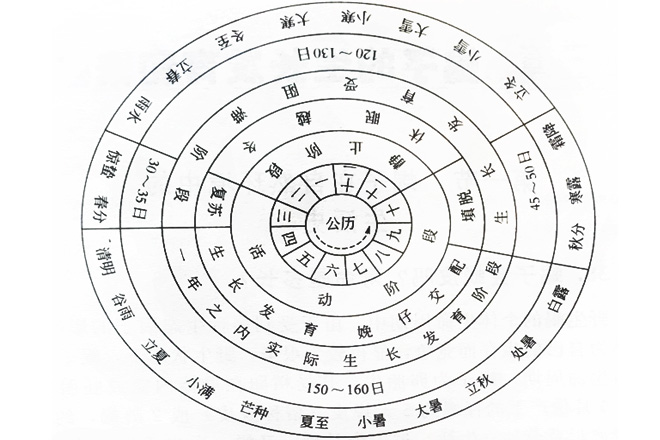 图1 东亚钳蝎四季生休交替图