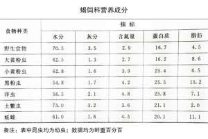 什么是蝎子的最佳饲料-营养成分如何-