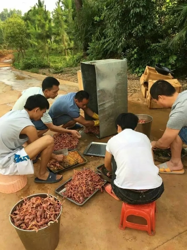 学员实践操作养蛇