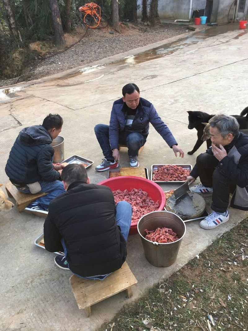 学员实践操作养蛇