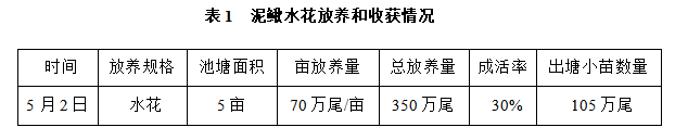 台湾泥鳅怎么养殖可以亩效益万元以上？