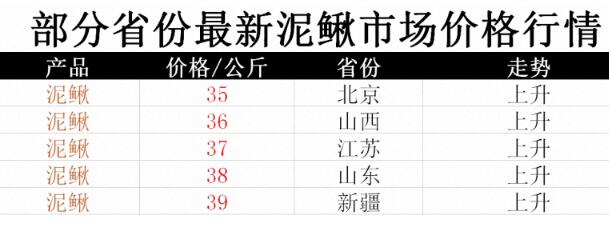 2019泥鳅养殖前景怎么样？