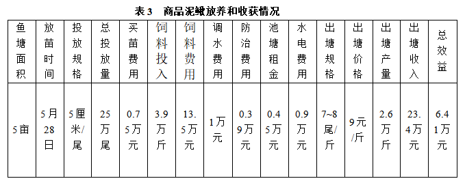 台湾泥鳅怎么养殖可以亩效益万元以上？