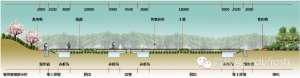 【新式】稻田养龙虾田埂设计图详细流程