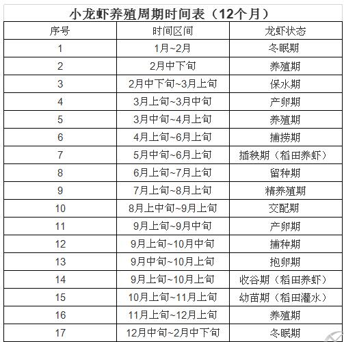 全年12个月养殖小龙虾的详细周期表从1月到12月？