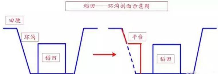 稻田养殖小龙虾挖沟要几米合适？