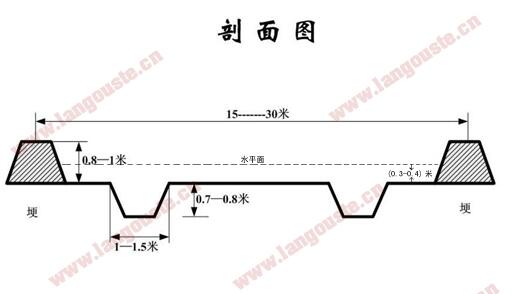 2019年小龙虾养殖池塘设计图大全【新手必看】