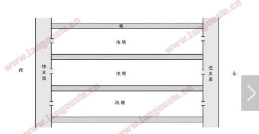 2019年小龙虾养殖池塘设计图大全【新手必看】