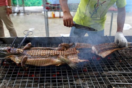 鳄鱼烤肉