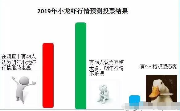 养小龙虾一亩多少利润一亩1万元你相信吗？