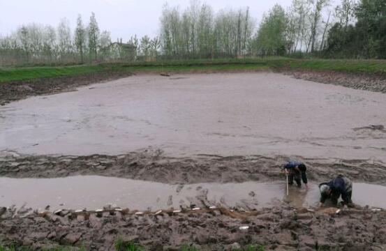 2019龙虾池的建造图片大全