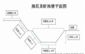 2020年小龙虾塘设计图大全（新设计图+视频）