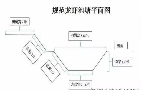 2019年小龙虾塘设计图大全（新设计图+视频）