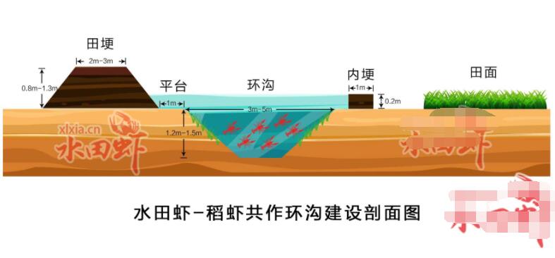 2019年小龙虾塘设计图大全（新设计图+视频）