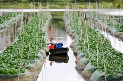 2019下半年小龙虾价格趋势是涨还是跌？