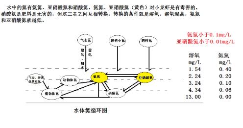 影响小龙虾产量的主要因素有哪些？