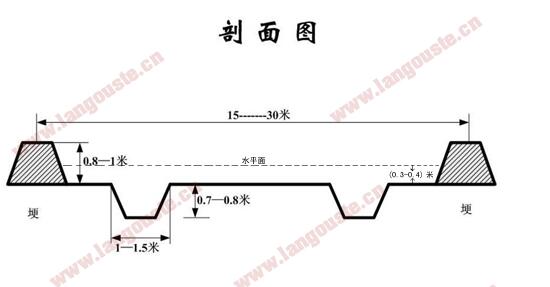 养殖小龙虾池溏建设基本要求有哪些【小白必看】