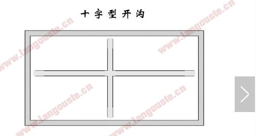 养殖小龙虾池溏建设基本要求有哪些【小白必看】