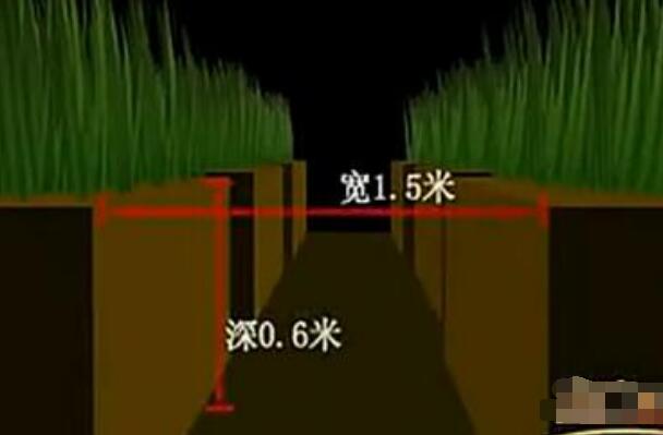 3月份养龙虾稻田需要加多深的水