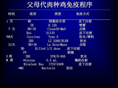 商品肉鸡免疫方法