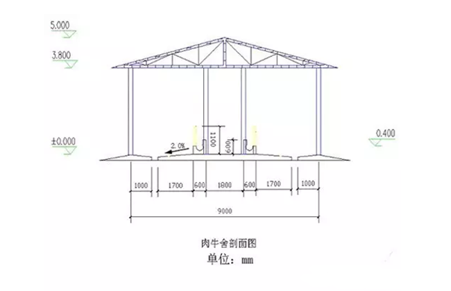 养牛场建设四大要求及注意事项 附赠牛舍建设草图