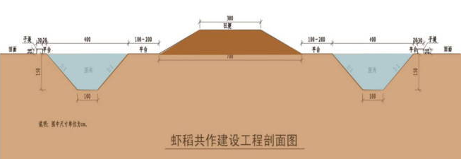 小龙虾养殖池塘设计和建设图