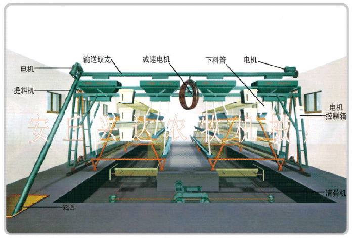 蛋鸡自动喂料机