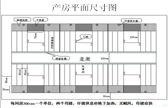 现代化养猪场设计及搭建方案