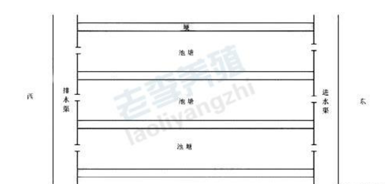 小龙虾养殖池塘设计图