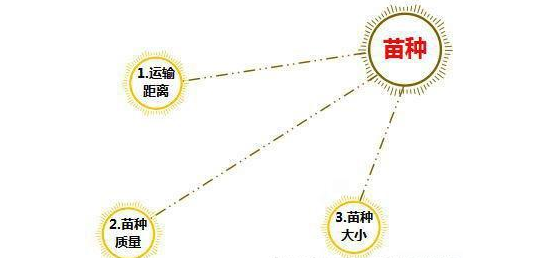 小龙虾放苗存活率低的原因