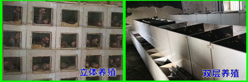 1、 竹鼠栏建筑材料