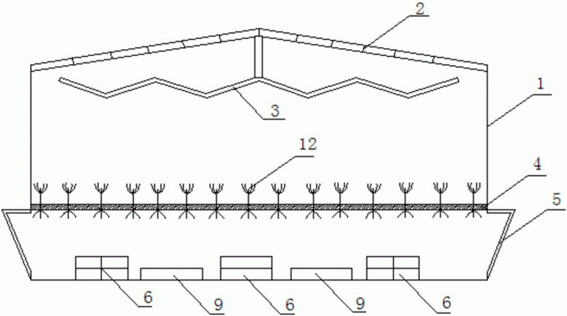 水蛭养殖池的建造图片