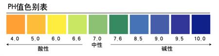 茶树菇种植