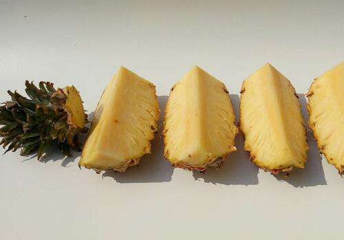 凤梨和菠萝什么时候成熟 有什么区别？