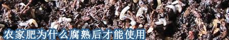 农家肥为什么腐熟后才能使用