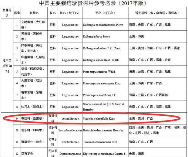 肋果茶-2017年推荐的珍贵行道树种.jpg