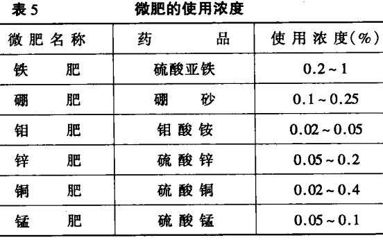 什么是叶面施肥，如何施叶面肥