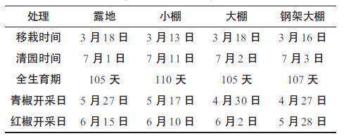 早辣椒设施栽培集中育苗和大苗带花移栽技术