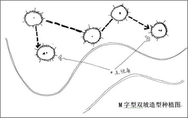 M字型双坡造型种植图.jpg