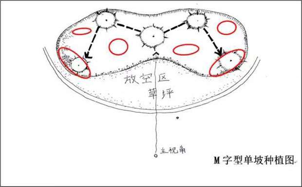 M字型单坡种植图.jpg