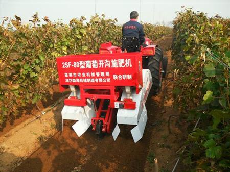 葡萄种植技术：葡萄夏季怎么施肥？