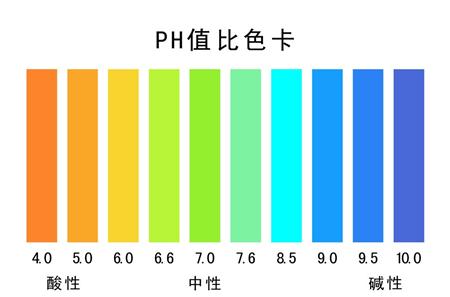 竹荪种植图