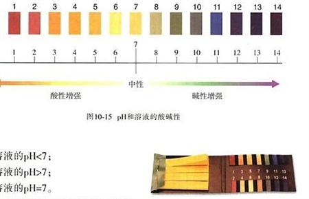 大球盖菇种植：大球盖菇生长要求有哪些？